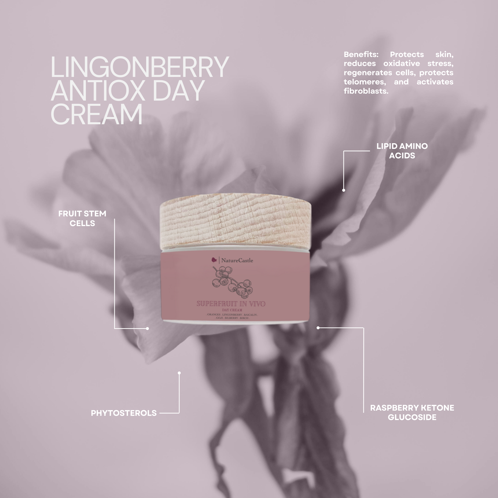 Lingonberry Antiox Cream
